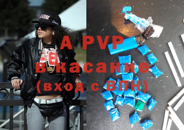 стаф Касимов