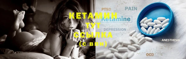 стаф Касимов